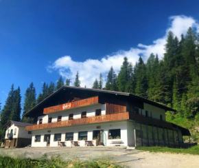 Гостиница Hotel Dolomiti Des Alpes  Мизурина